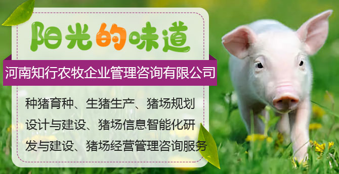 知行农牧业务范围