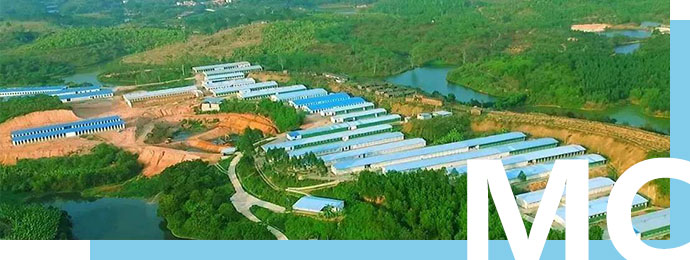 猪场经营管理咨询服务